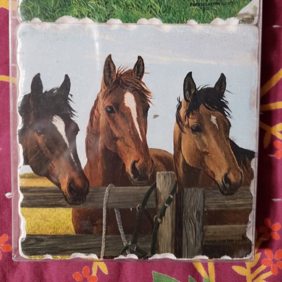 Set of 4 Horse Coasters, New - Picture 5 of 6